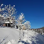 Le Primule