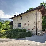 Le Primule