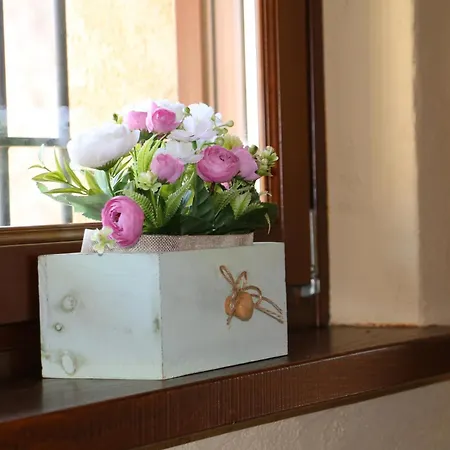 Le Primule Hébergement de vacances Peveragno