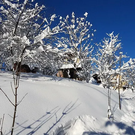 Holiday home Le Primule